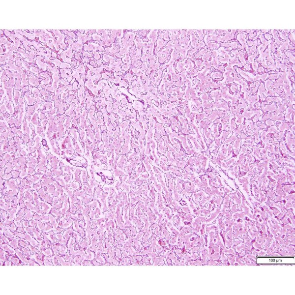 Tissue Control Slide